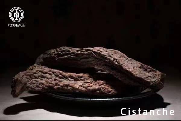 Cistanche stem