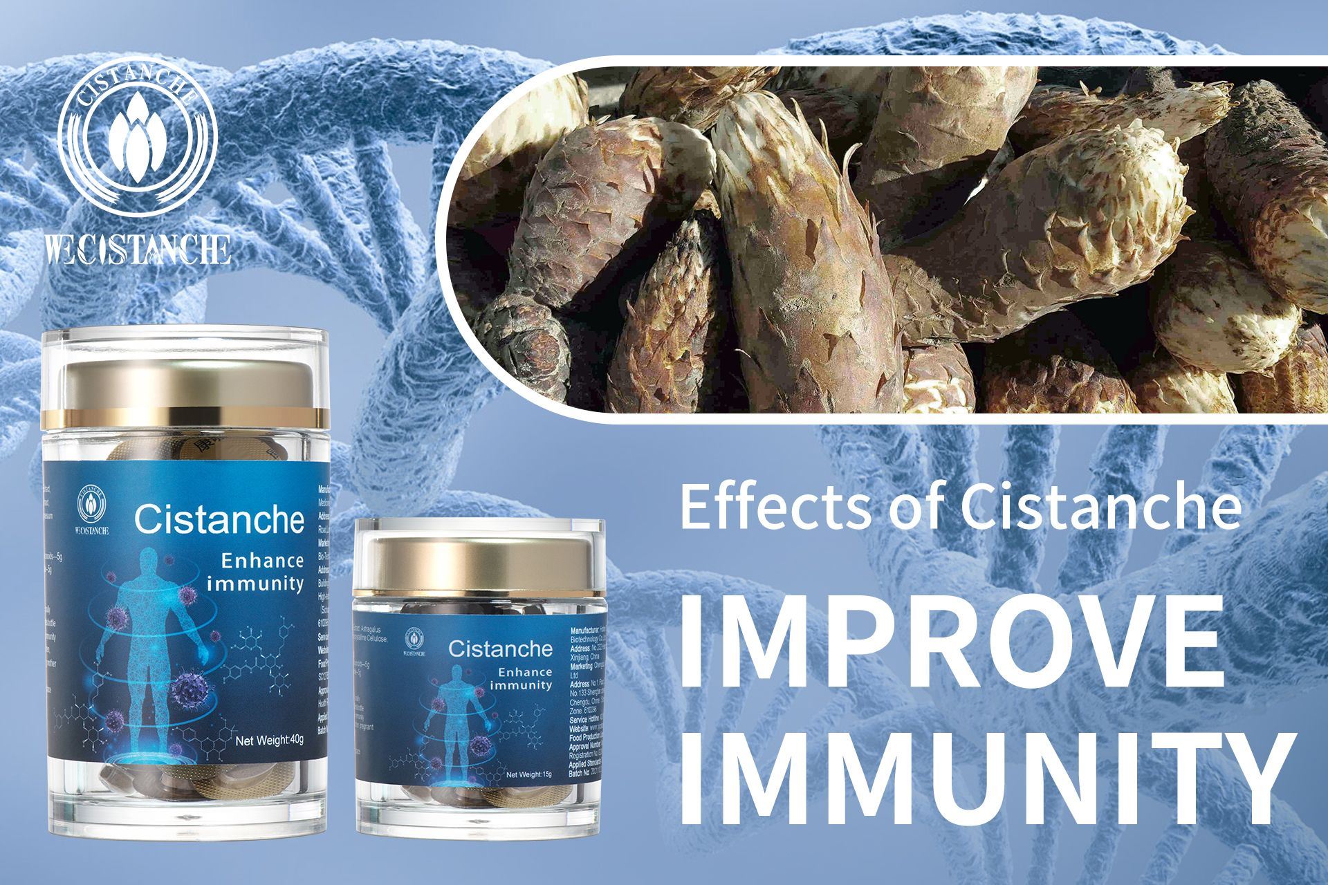 Cistanche and immunity