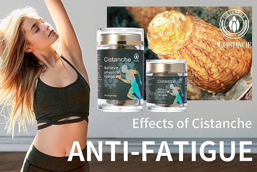 cistanche anti-fatigue