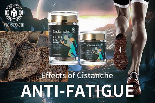 cistanche anti-fatigue