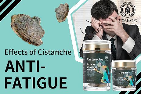 cistanche anti-fatigue