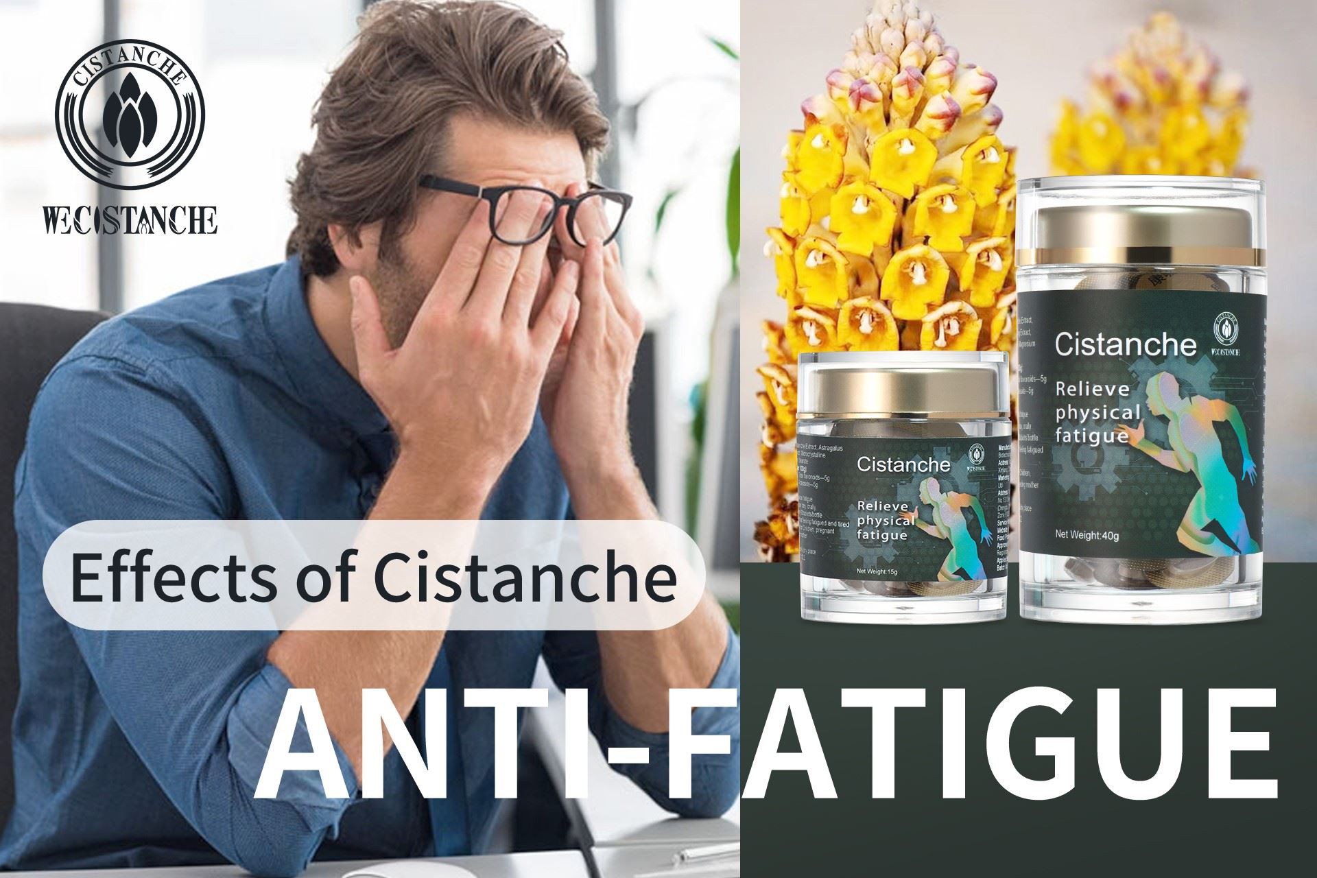 cistanche anti-fatigue