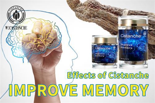  improve memory retention with cistanche
