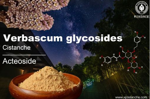 verbascoside can alleviated damage