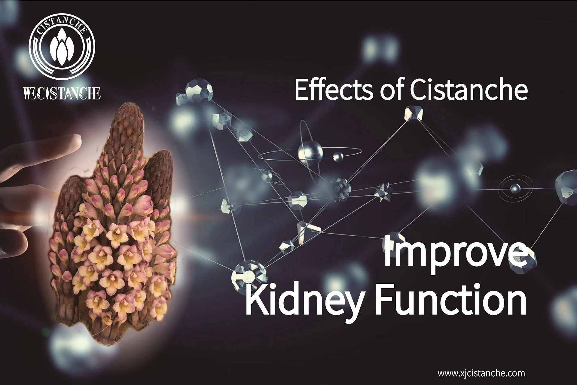 Kidney biomarkers are important for detecting kidney injury Kidney biomarkers are important for detecting kidney injury