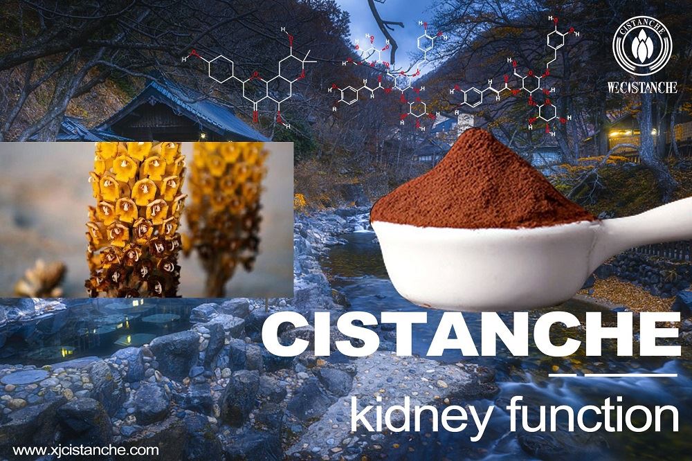 Early examination and treatment can increase the chance of reversing kidney injury Early examination and treatment can increase the chance of reversing kidney injury