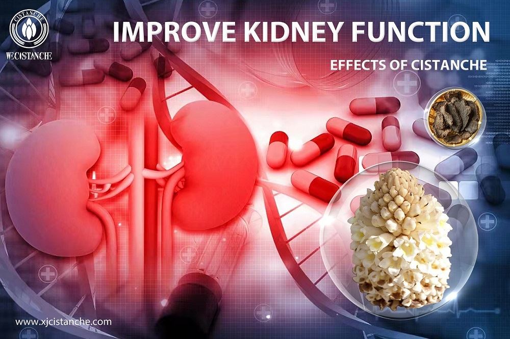Kidney injury may cause kidney fibrosis Kidney injury may cause kidney fibrosis