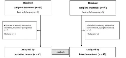 figure 1 (2)