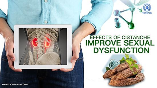 Improve Kidney function-Cistanche