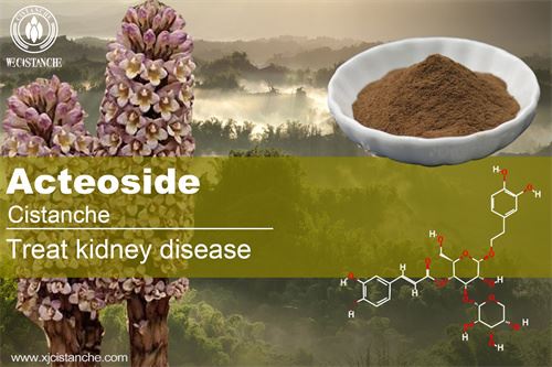 to prevent acute kidney disease to prevent acute kidney disease