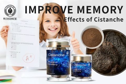 Cistanche-improve memory12