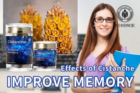 Cistanche-improve memory7