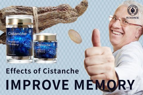Cistanche-improve memory16