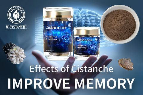 Cistanche-improve memory5