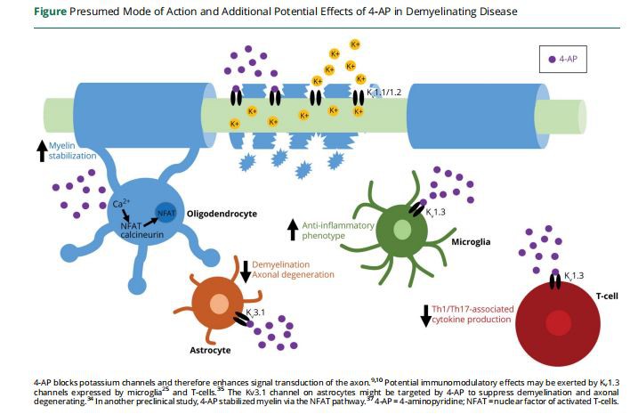 Presumed Mode of Action