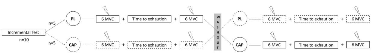 Figure 1. Experimental design of the study. 