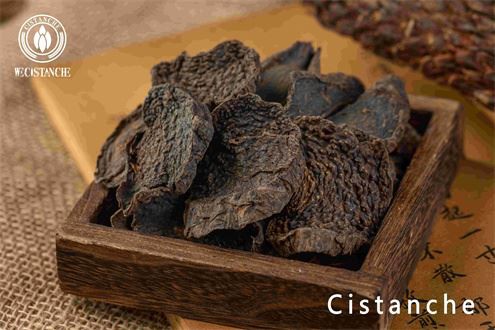 Treat Parkinson's disease and constipation: cistanche Treat Parkinson's disease and constipation: cistanche
