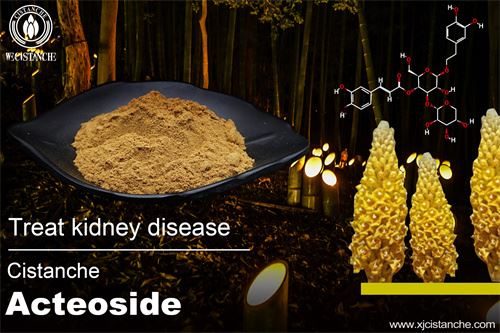 Cistanche can relieve kidney disease