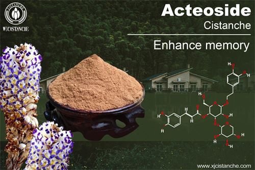 Cistanche deserticola have many effects, click here to know more