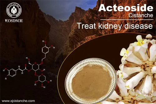 cistanche is good for choric kidney disease cistanche is good for choric kidney disease