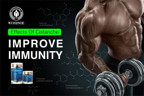effects of cistanche improve immunity (2)