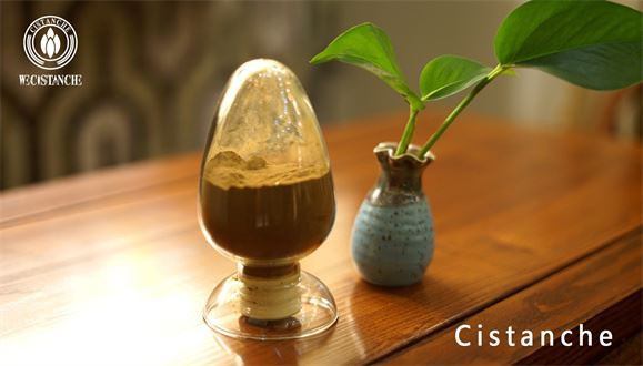 Cistanche tubulosa extract