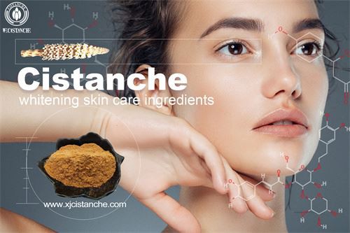 Cistanche has anti-aging, antioxidant, and skincare effects