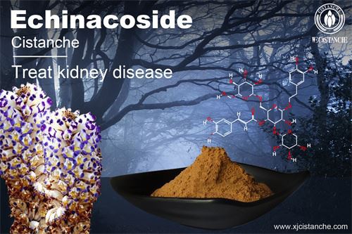 to relieve the chronic kidney disease