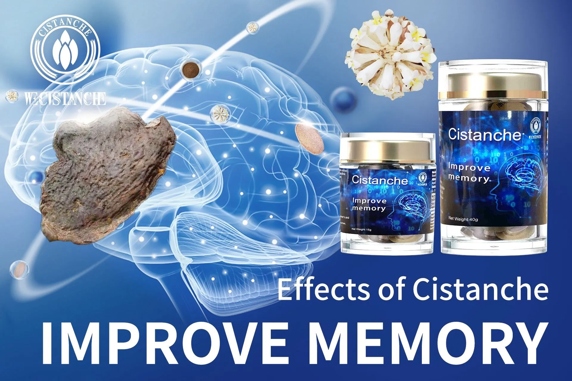 herb for improving memory function