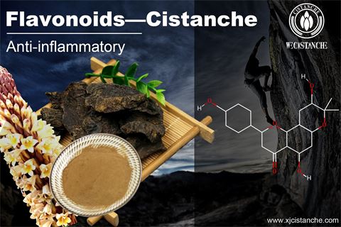 4flavonoids anti-inflammatory 4flavonoids anti-inflammatory