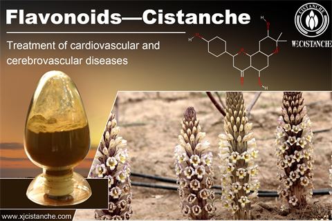 flavonoids cardiovascular cerebrovasular flavonoids cardiovascular cerebrovasular
