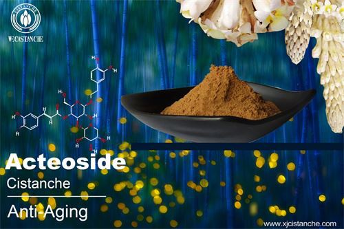 acteoside in cistanche (5)