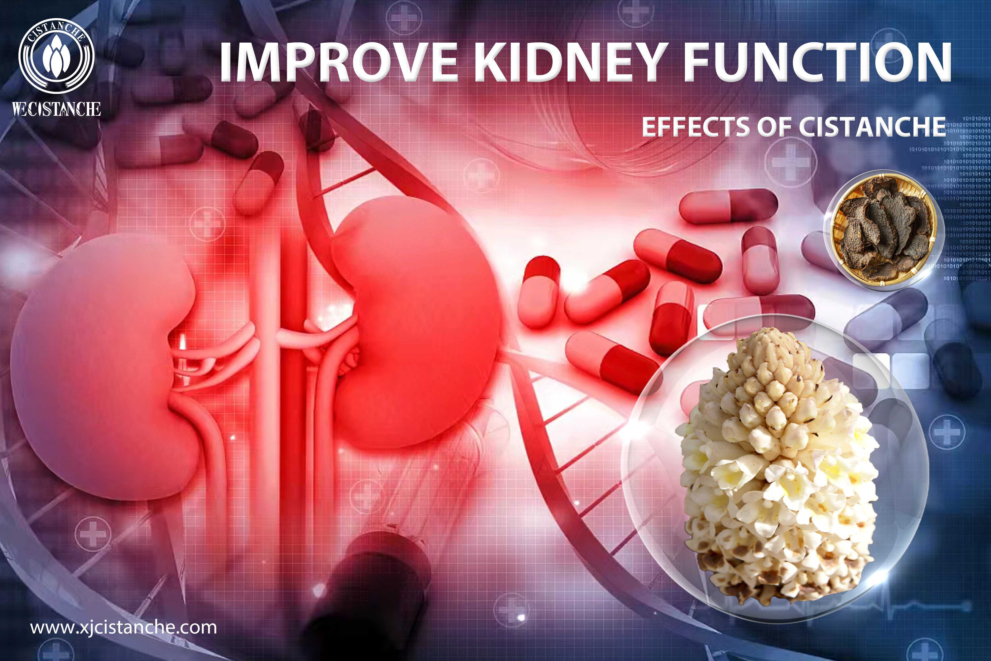 best herb for kidney disease