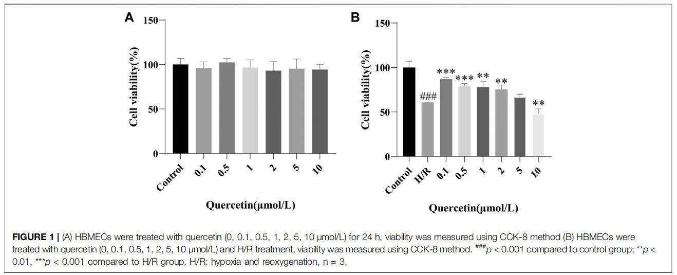 A) HBMECs were treated with quercetin (0, 0.1, 0.5, 1, 2, 5, 10 μmol/L) for 24 h, viability was measured using CCK-8 method (B) HBMECs were treated with quercetin (0, 0.1, 0.5, 1, 2, 5, 10 μmol/L) and H/R treatment, viability was measured using CCK-8 method. ###p < 0.001 compared to control group; **p < 0.01, ***p < 0.001 compared to H/R group. H/R: hypoxia and reoxygenation, n  3