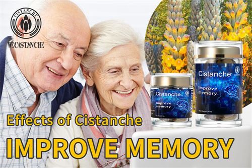 effects of cistanche: improve memory