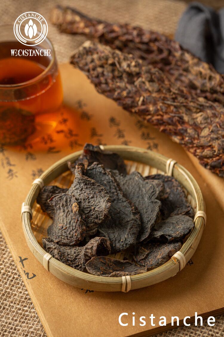 Cistanche raw material