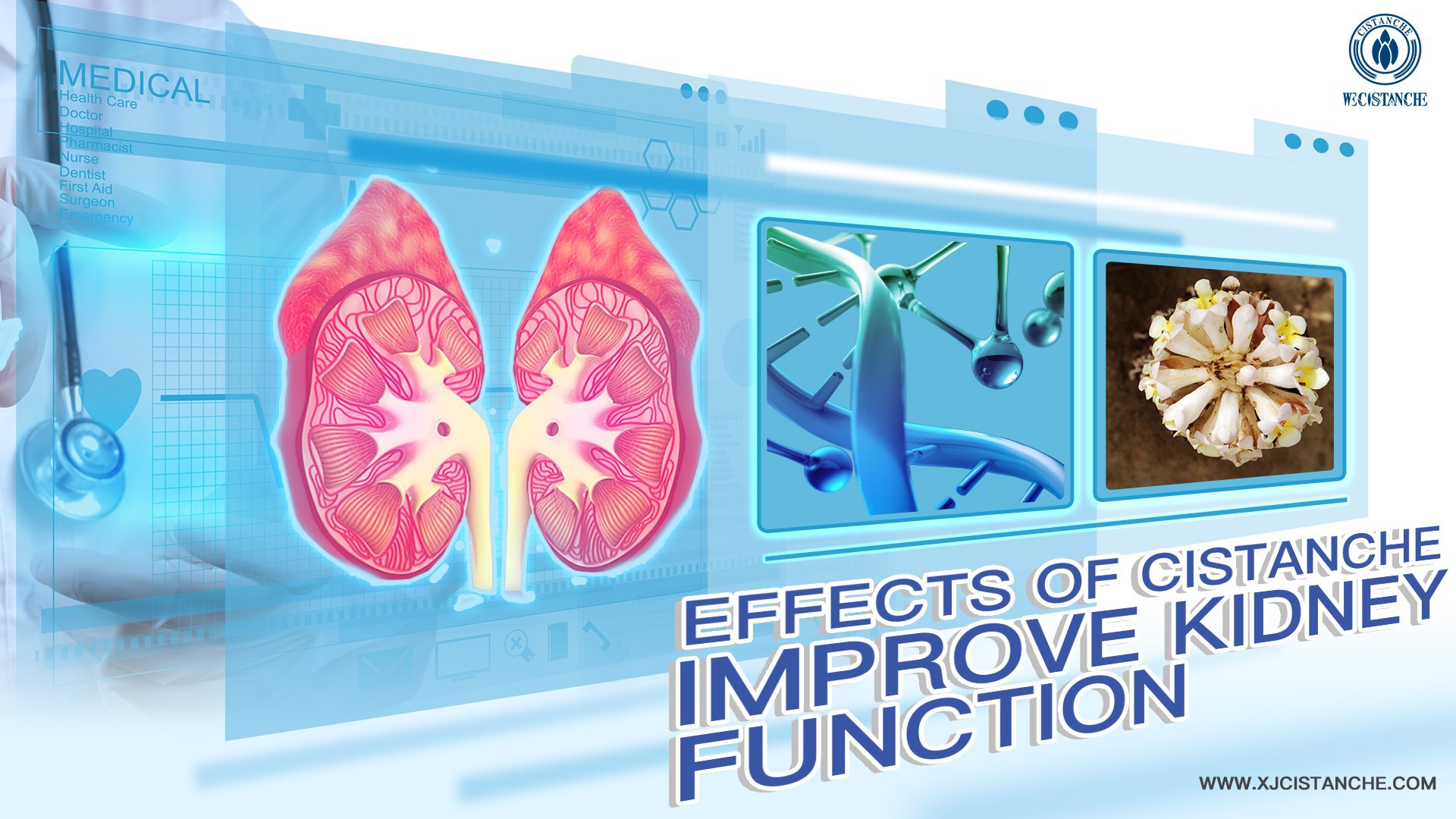 how to improve kidney function