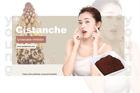 anti aging4 anti aging4