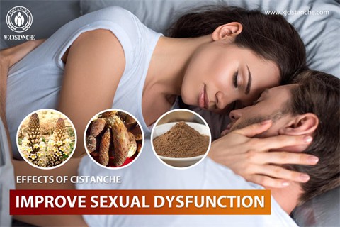cistanche tubulosa adalah：improve sexual dysfunction5