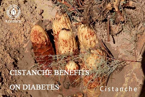 Improve sexual function Cistanche
