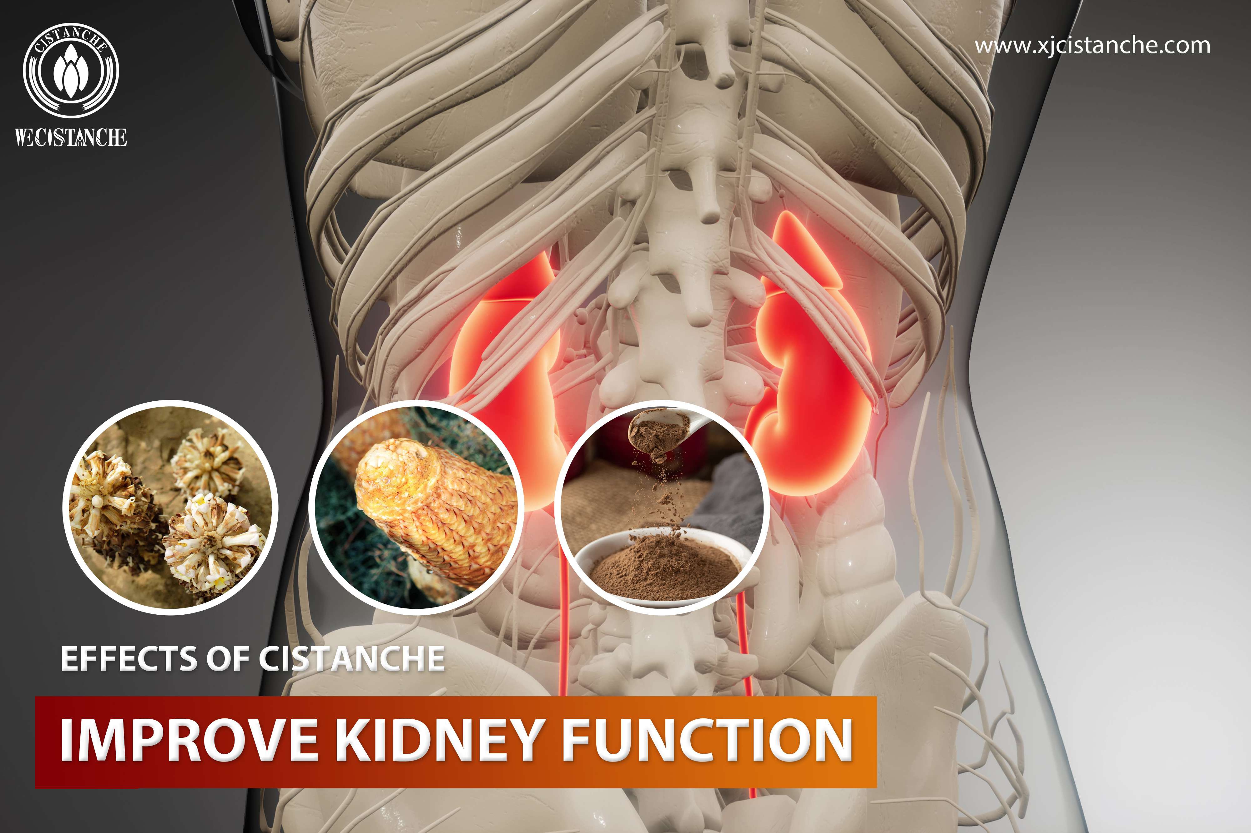 how to treat kidney injury
