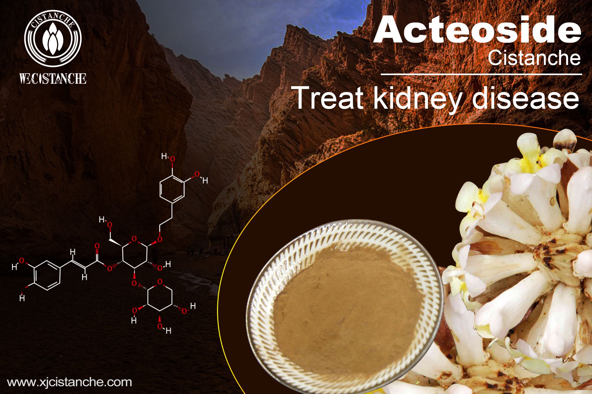 how to cure kidney problems how to cure kidney problems