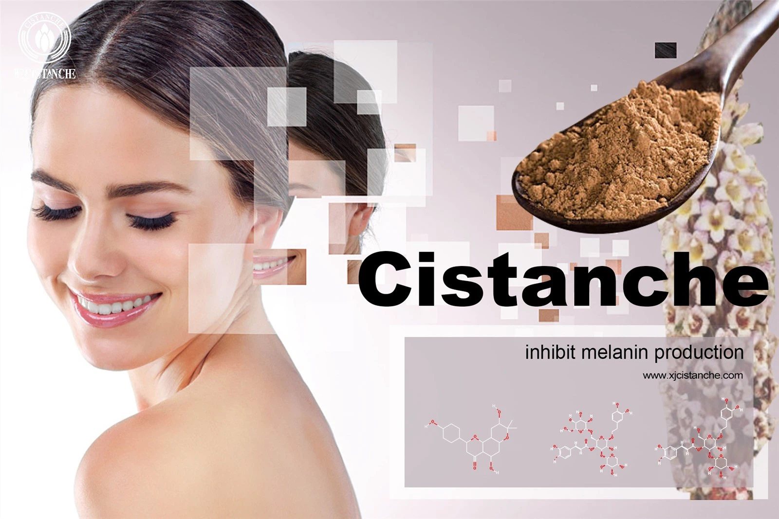 cistanche adalah
