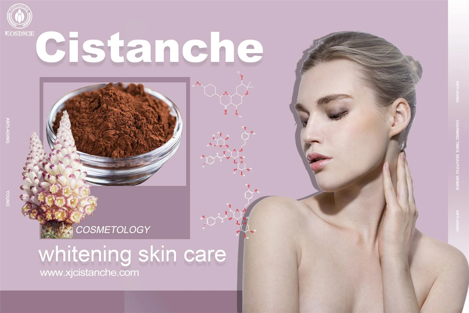 does cistanche work does cistanche work