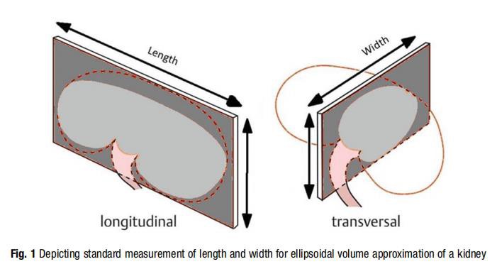 desert cistanche benefits