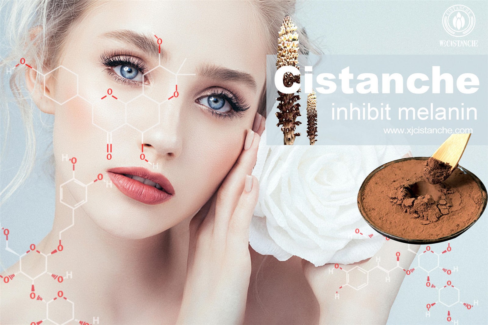 cistanche nedir