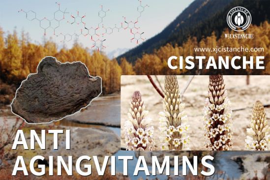 antioxidative herbal drug