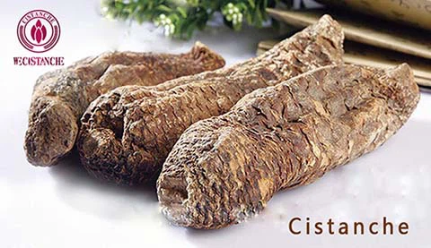 Cistanche desertiloca constipation benefits Cistanche desertiloca constipation benefits