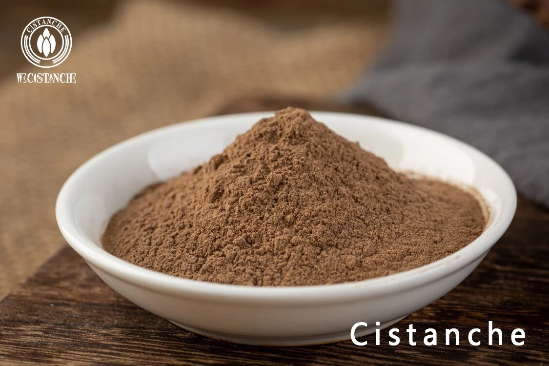 cistanche dose