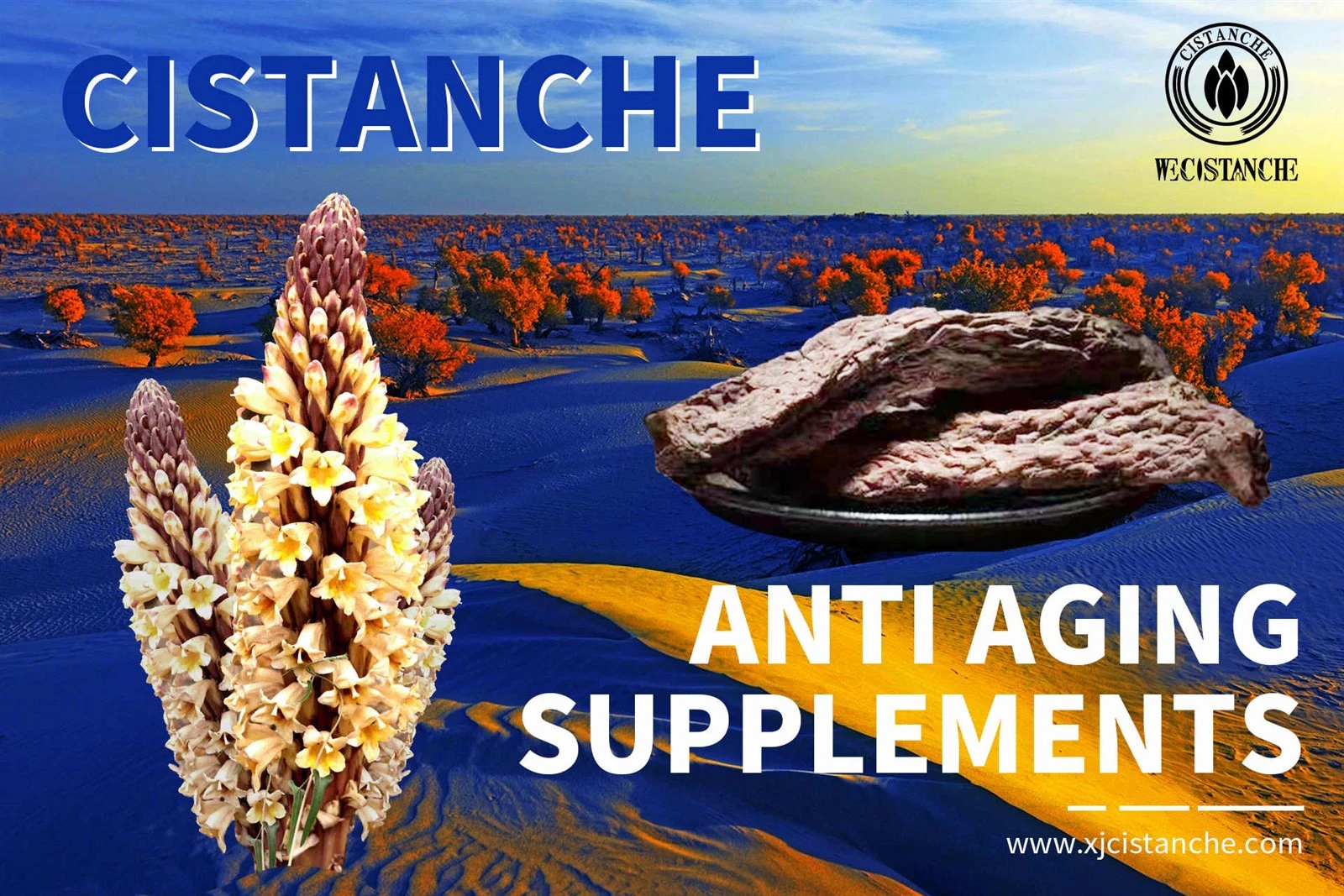 cistanche amazon cistanche amazon